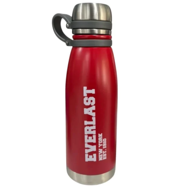 BOTELLA TERMICA ACERO INOX DOBLE CAPA 650ML EVERLAST 18393